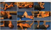 Clip_004304_wmv_thumbs_2013_06_06_02_03_07.jpg