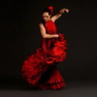 flamenco